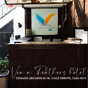 Feathers & Lounge Hotel