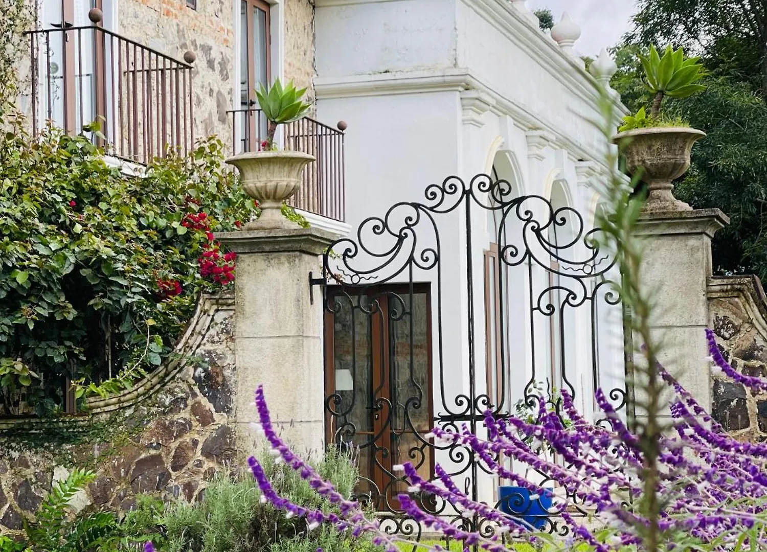 Finca San Mateo - Private Luxury Coffee Estate In Antigua Guatemala contacts
